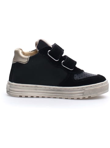 Naturino Leder-Sneakers "Hess" in Schwarz