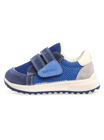 Naturino Leder-Sneakers "Woni" in Blau