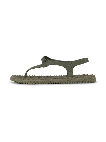 Ilse Jacobsen Zehensandalen in Khaki