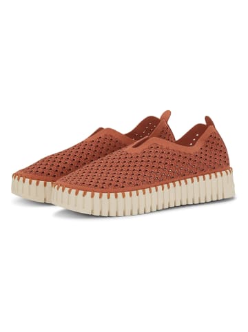 Ilse Jacobsen Slipper in Orange