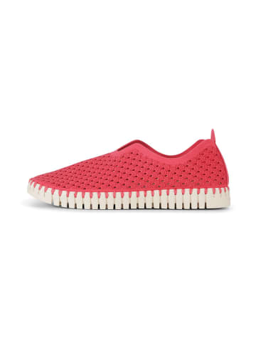 Ilse Jacobsen Leder-Slipper in Pink