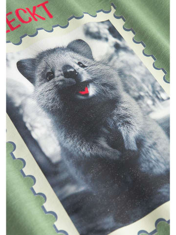 Derbe Shirt in Grün