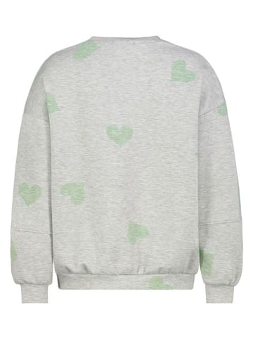 Sublevel Sweatshirt in Grau/ Grün