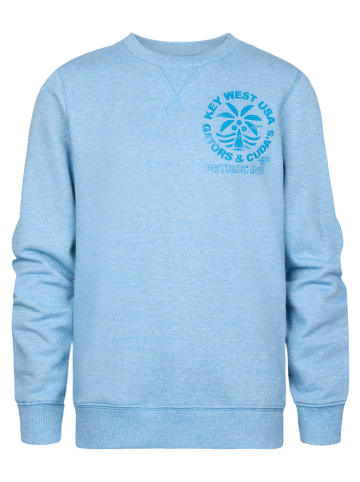 Petrol Industries Sweatshirt in Hellblau