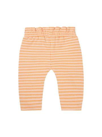 Noppies Sweathose "Mulino" in Orange