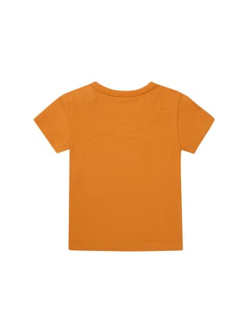 Noppies Shirt "Ostra" oranje