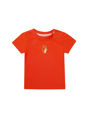 Noppies Shirt "Minkler" in Rot