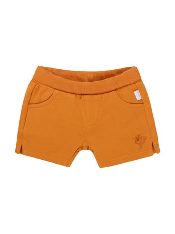 Noppies Shorts "Osmar" in Orange