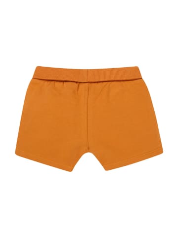 Noppies Shorts "Osmar" in Orange