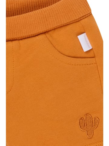 Noppies Shorts "Osmar" in Orange