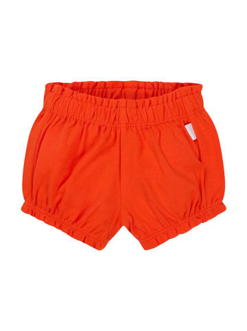 Noppies Shorts "Marinette" in Rot