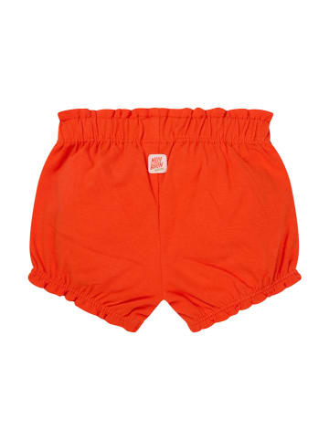 Noppies Shorts "Marinette" in Rot