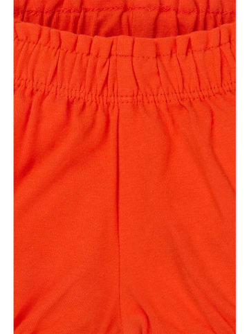 Noppies Short "Marinette" rood