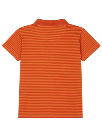 Noppies Poloshirt "Lindale" in Orange