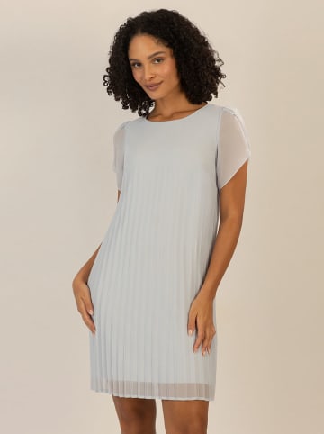 APART Kleid in Hellgrau
