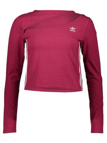 adidas Longsleeve in Beere