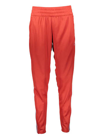 adidas Trainingshose in Rot