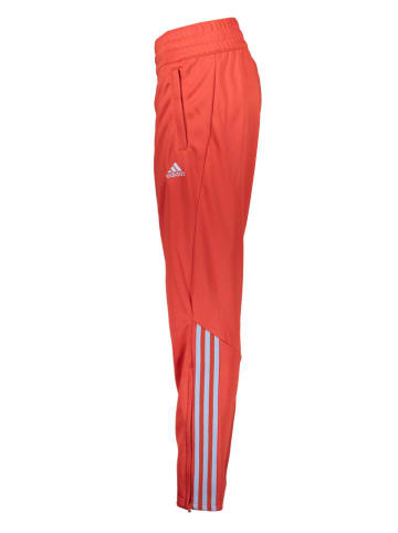 adidas Trainingshose in Rot