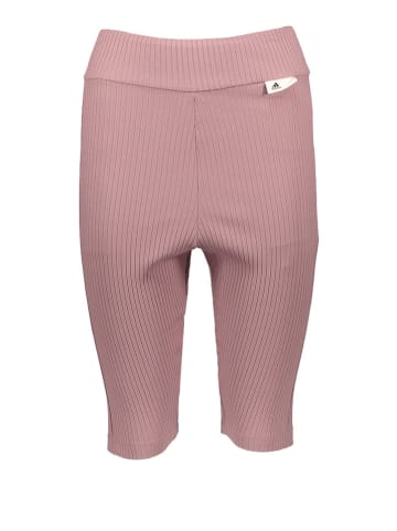 adidas Shorts in Rosa