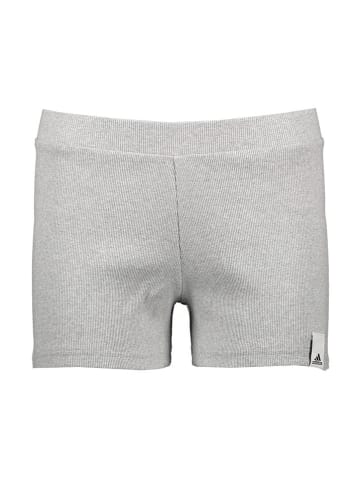 adidas Shorts in Grau