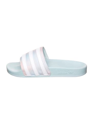 adidas Slippers lichtblauw