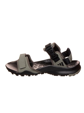 adidas Trekkingsandalen in Grau