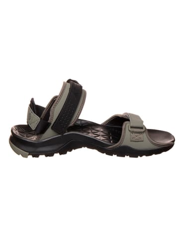 adidas Trekkingsandalen in Grau