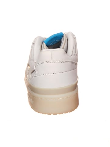 adidas Sneakers crème