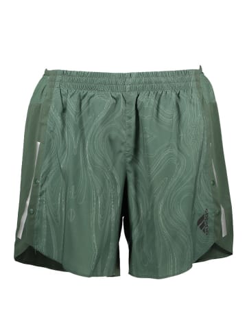 adidas Trainingsshorts in Grün