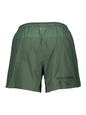 adidas Trainingsshorts in Grün