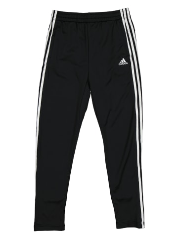 adidas Trainingshose in Schwarz