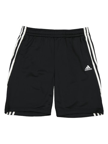 adidas Trainingsshorts in Schwarz