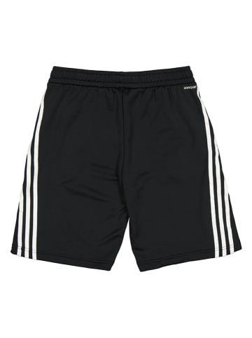 adidas Trainingsshorts in Schwarz