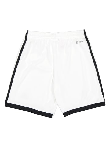 adidas Trainingsshorts in Weiß