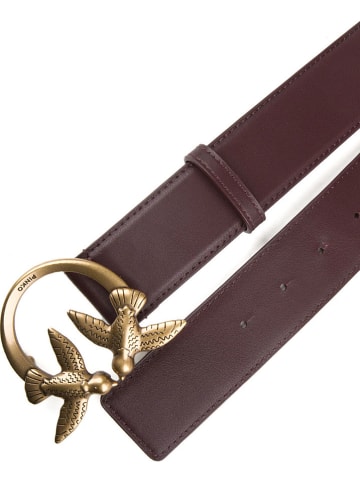 Pinko Leder-Gürtel in Braun