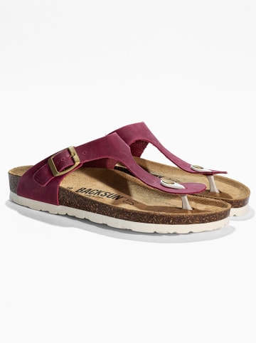 BACKSUN Leren teenslippers "Singapore" pruimkleurig