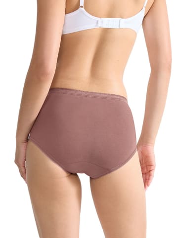 Sloggi 4er-Set: Pantys in Bunt