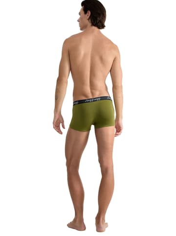 Sloggi 2-delige set: boxershorts groen/grijs