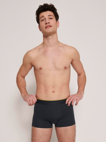 Sloggi 2er-Set: Boxershorts in Grau/ Schwarz