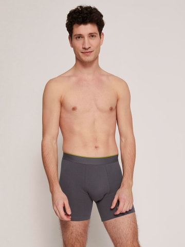 Sloggi 2er-Set: Boxershorts in Grau/ Schwarz