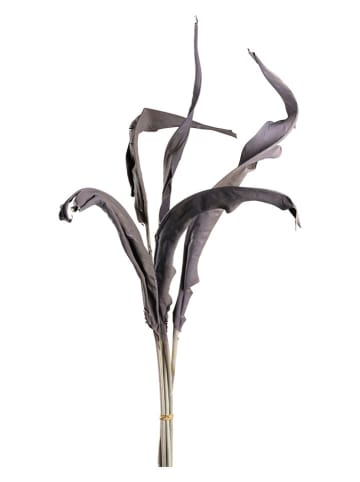 LEONARDO Sztuczny kwiat "Strelizia leaves" w kolorze szarobrązowym - dł. 80 cm
