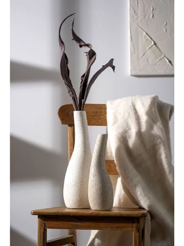 LEONARDO Kunstbloemen "Strelitzia bladeren" taupe - (L)80 cm
