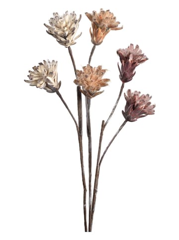 LEONARDO Kunstblume ''Fiore'' in Beige/ Rosa/ Apricot - (L)40 cm