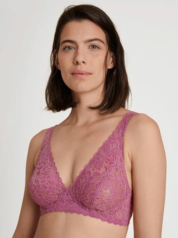 Calida Bügel-BH in Violet