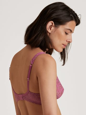 Calida Bügel-BH in Violet