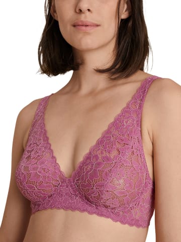 Calida Bügel-BH in Violet