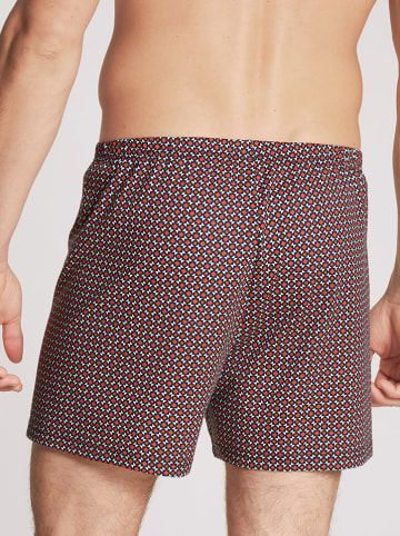 Calida Boxershorts in Schwarz/ Rot