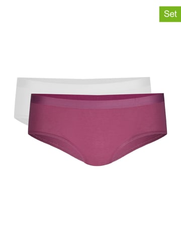 Calida 2er-Set: Slip in Aubergine/ Grau