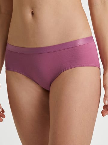 Calida 2er-Set: Slip in Aubergine/ Grau