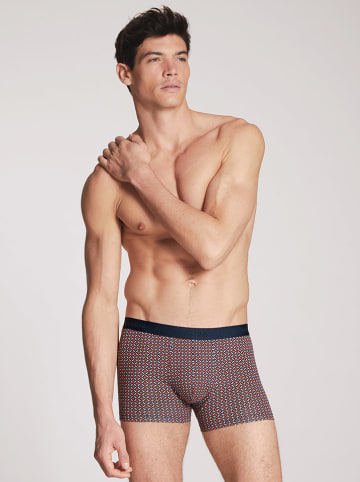 Calida Boxershorts in Schwarz/ Rot